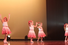 Mini-Kr-IMG_1204